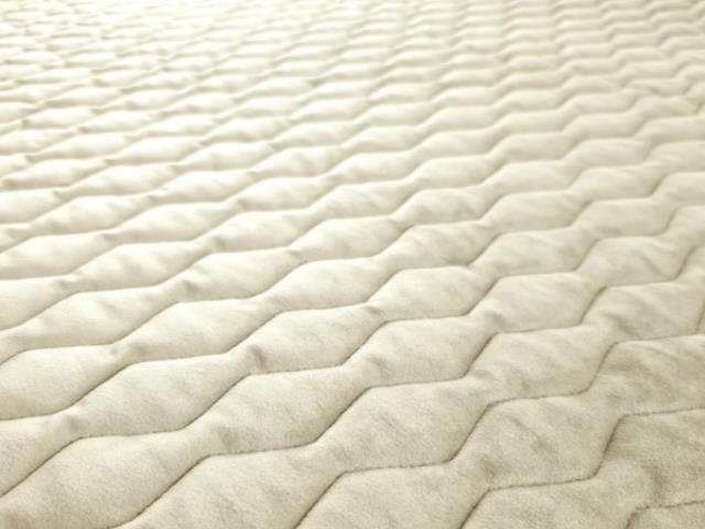 MAGIC VELVET 2210/P128/O100/N1101