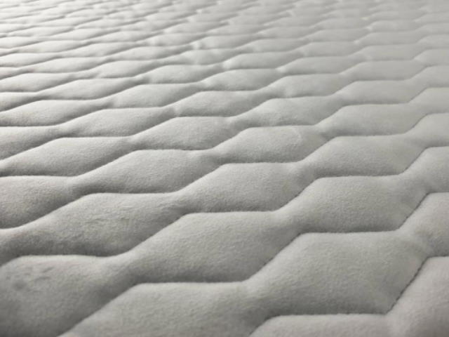 MAGIC VELVET 2240/P128/O100/N1101